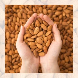 Untitled (500 x 500 px) (3)