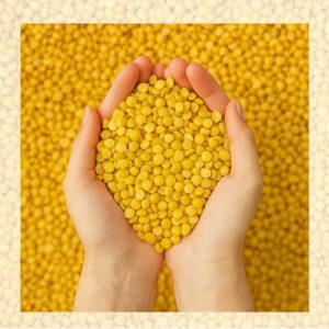 Untitled (500 x 500 px) (6)